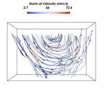 Stereo Event-based Particle Tracking Velocimetry for 3D Fluid Flow Reconstruction