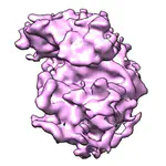 Joint Motion-Correction and Reconstruction in Cryo-EM Tomography
